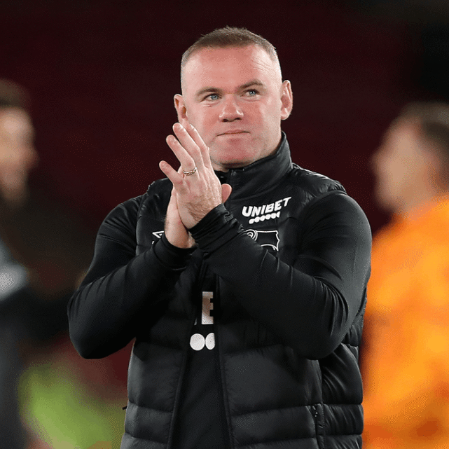 西布朗逼平富勒姆，难以逃脱降级的命运的简单介绍